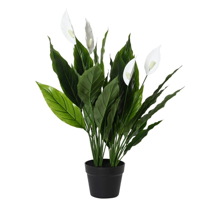 Kaemingk Artificial Peace Lily Plant in Black Pot - Old Railway Line Garden Centre