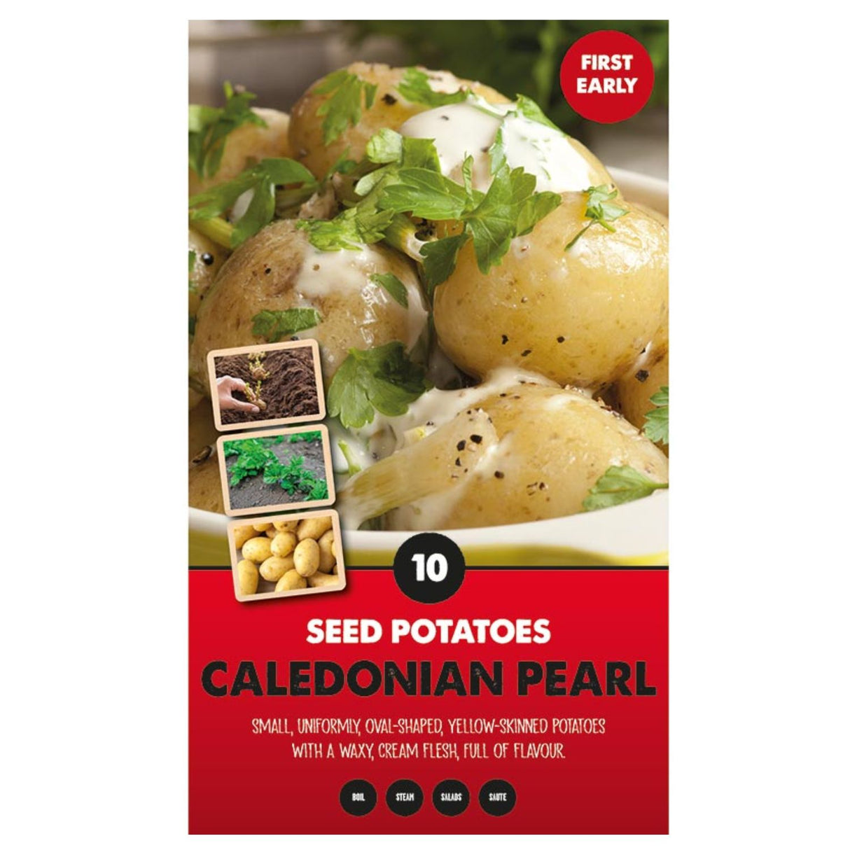 Kapiteyn 10 Caledonian Pearl First Early Seed Potatoes