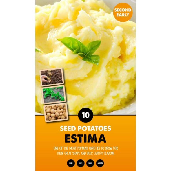 Kapiteyn 10 Estima Second Early Seed Potatoes