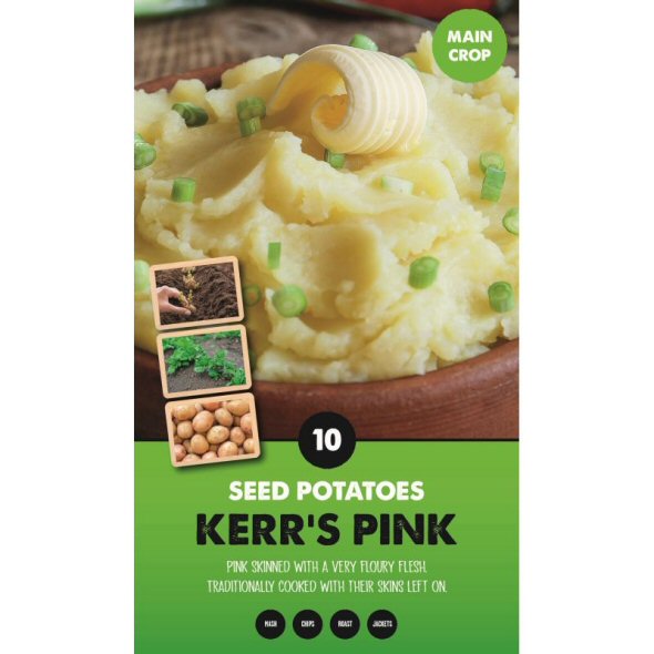 Kapiteyn 10 Kerr's Pink Main Crop Seed Potatoes