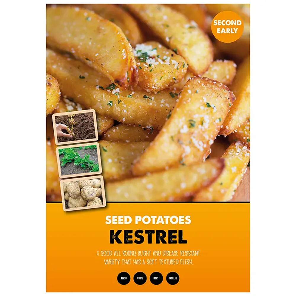 Kapiteyn 10 Kestrel Second Early Seed Potatoes