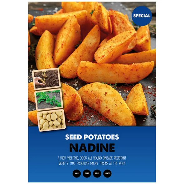 Kapiteyn 10 Nadine Second Early Seed Potatoes