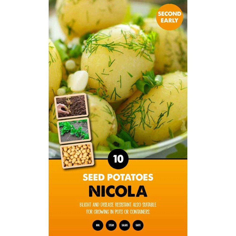 Kapiteyn 10 Nicola Second Early Seed Potatoes