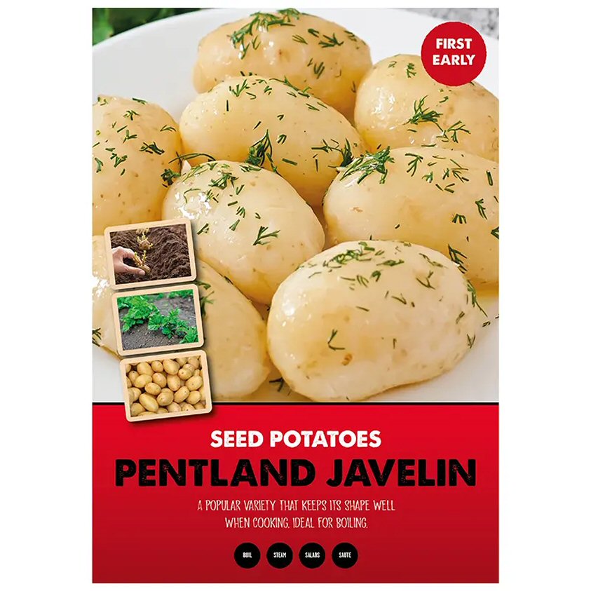 Kapiteyn 10 Pentland Javelin First Early Seed Potatoes