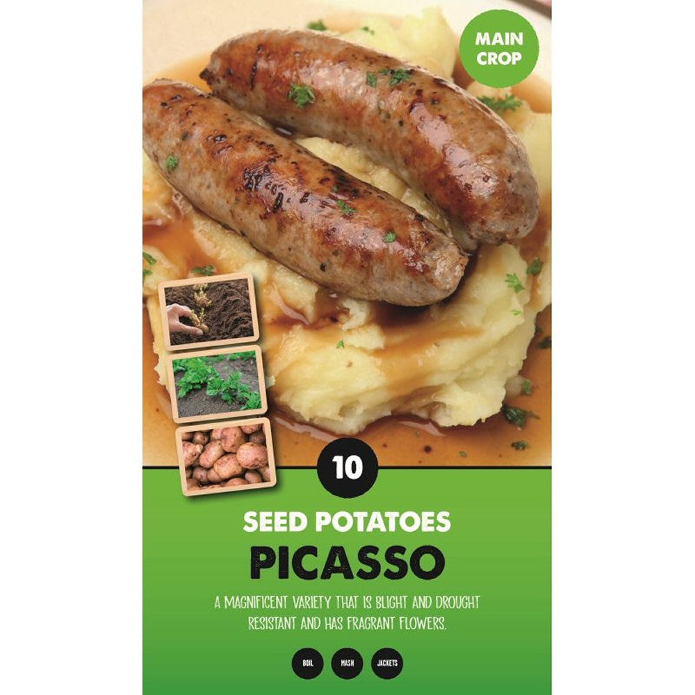 Kapiteyn 10 Picasso Main Crop Seed Potatoes