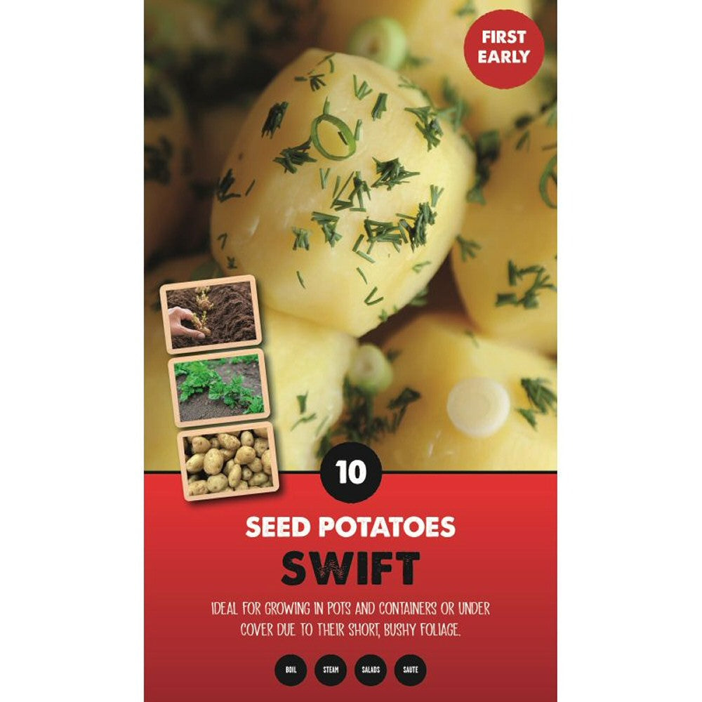 Kapiteyn 10 Swift First Early Seed Potatoes