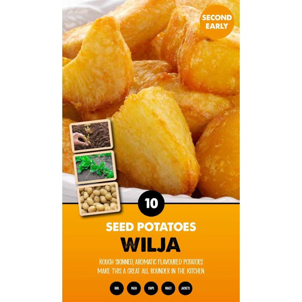 Kapiteyn 10 Wilja Second Early Seed Potatoes