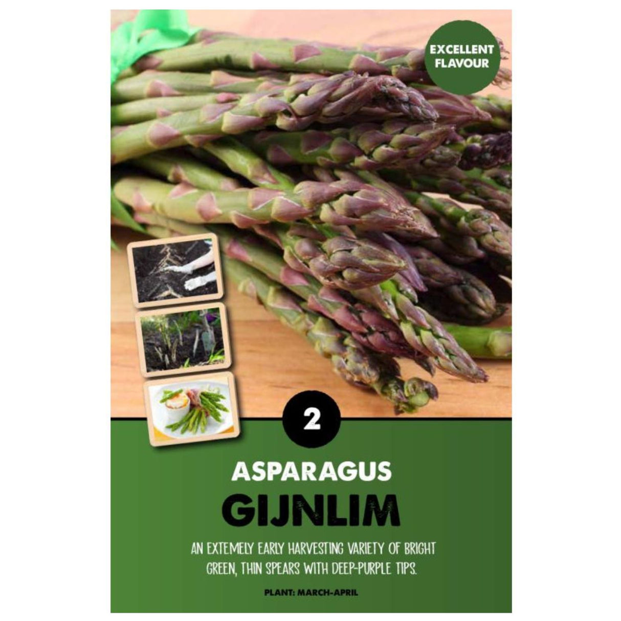 Kapiteyn 2 Asparagus Gijnlim Crown