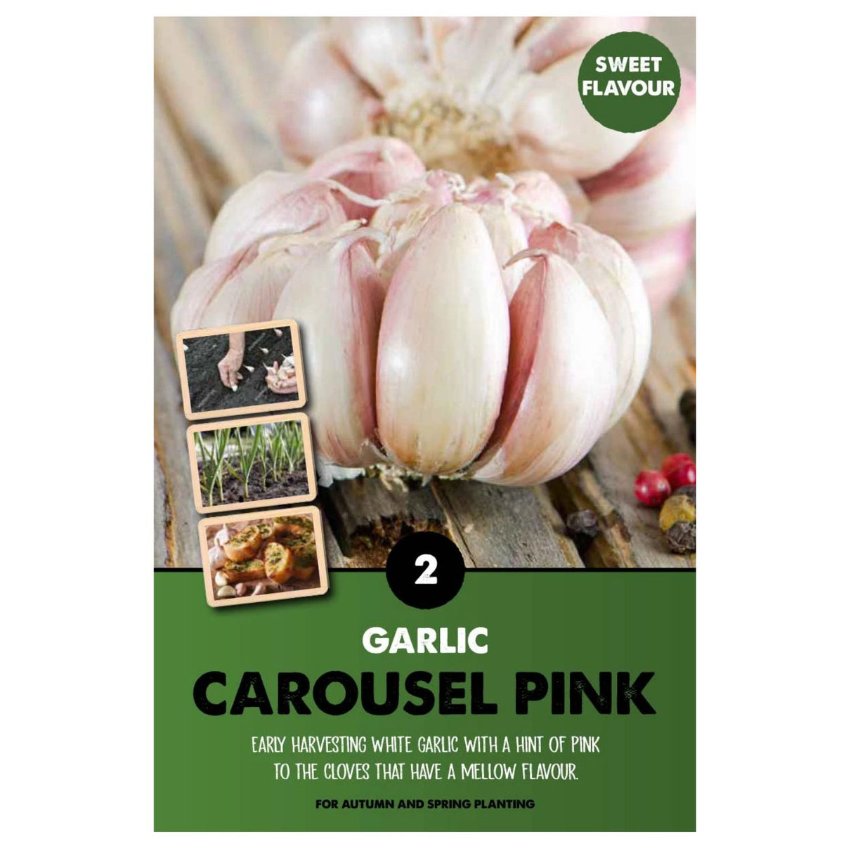 Kapiteyn 2 Garlic Carousel Pink Bulbs