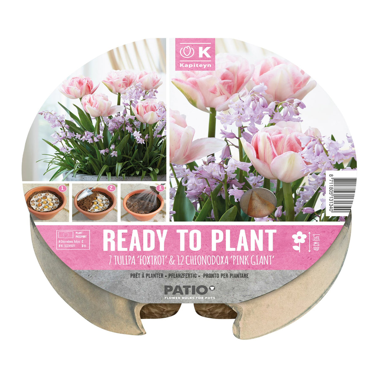 Kapiteyn 24cm Tulip & Chionodoxa Plant-O-Mat Spring Flowering Bulbs