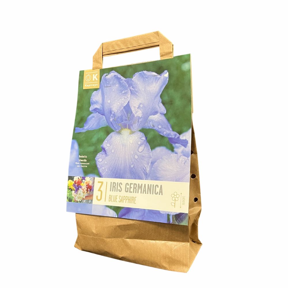 Kapiteyn 3 Iris germanica 'Blue Sapphire' Bulbs