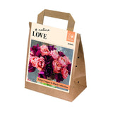 Kapiteyn 30 Copper & Black Tulip Bulb Bouquet Mix Spring Flowering Bulbs