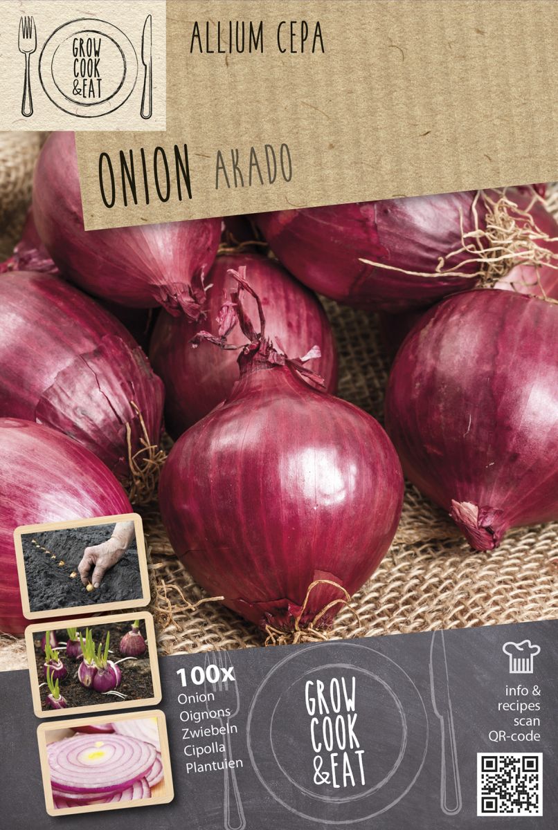 Kapiteyn  Akado Overwinter Red Onion Sets