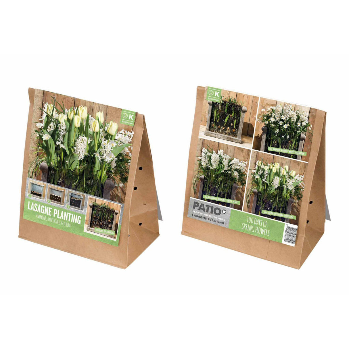 Kapiteyn White Lasagne Planting Patio Flower Spring Flowering Bulbs