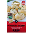 Kapiteyn Winter Variety Seed Potato - Pentland Javelin - Old Railway Line Garden Centre