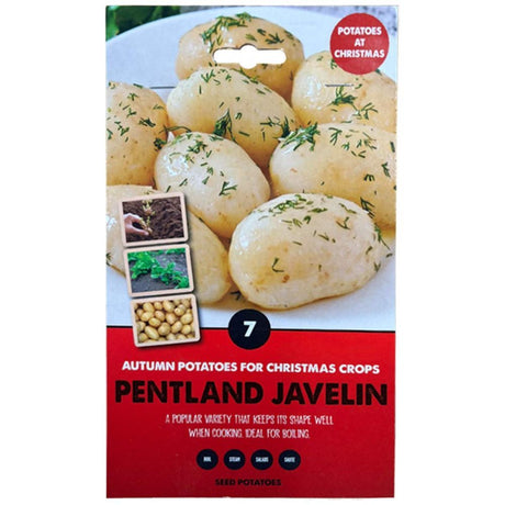 Kapiteyn Winter Variety Seed Potato - Pentland Javelin - Old Railway Line Garden Centre