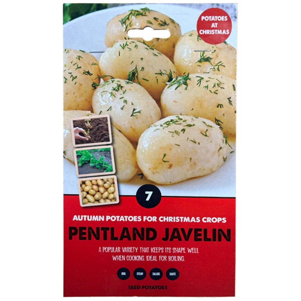 Kapiteyn Winter Variety Seed Potato - Pentland Javelin