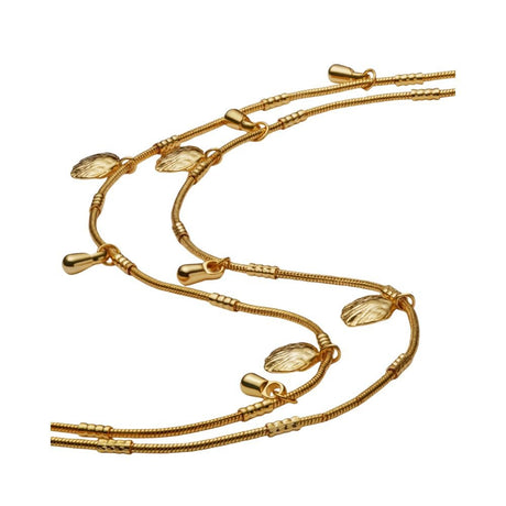 Katie Loxton Cochellia Waterproof Anklet - Gold - Old Railway Line Garden Centre
