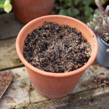 Kelkay Horticultural Grit Sand Handy Pack - Old Railway Line Garden Centre
