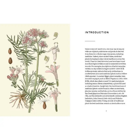 Kew Royal Botanical Gardens Pocketbooks Medicinal Plants