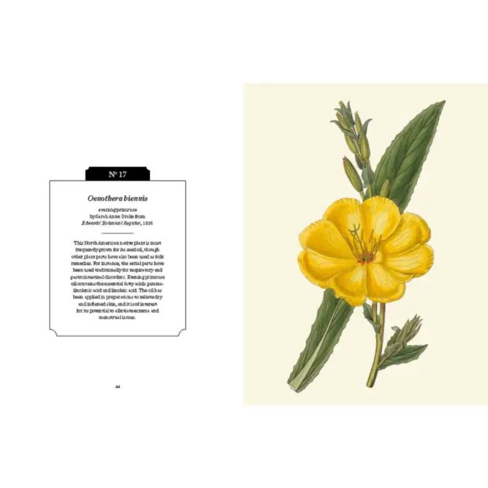 Kew Royal Botanical Gardens Pocketbooks Medicinal Plants