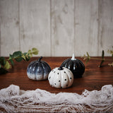 Langs Mono Pumpkin Decoration (Choice of 3)