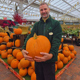Large Locally Grown Pumpkin