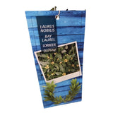Laurus Nobilis 120cm Laurel Bay 'Pyramid' Tree - 10Ltr Pot