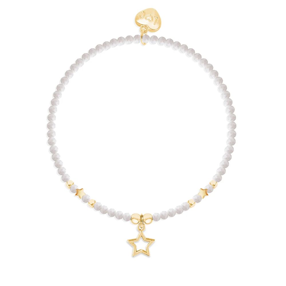 Life Charms Secret Santa Crystal Charm Bracelet