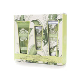 AAA Floral Lily Of The Valley Bath & Body Collection