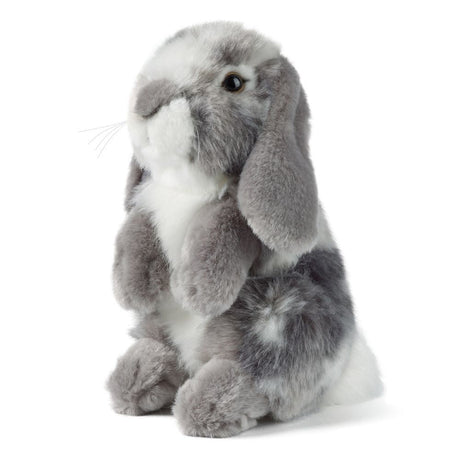 Living Nature 18cm Grey Sitting Lop Eared Rabbit Soft Toy - Old Railway Line Garden Centre