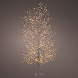 Lumineo 1.5m (5ft) Classic Warm Micro LED Black Twig Tree