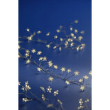 Lumineo 100 Warm White LED Star Micro Wire Battery Compact Lights (1.2m)