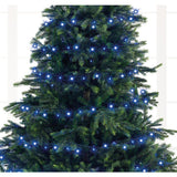Lumineo 1000 Blue Multi Coloured LED Compact Lights (22.5m)