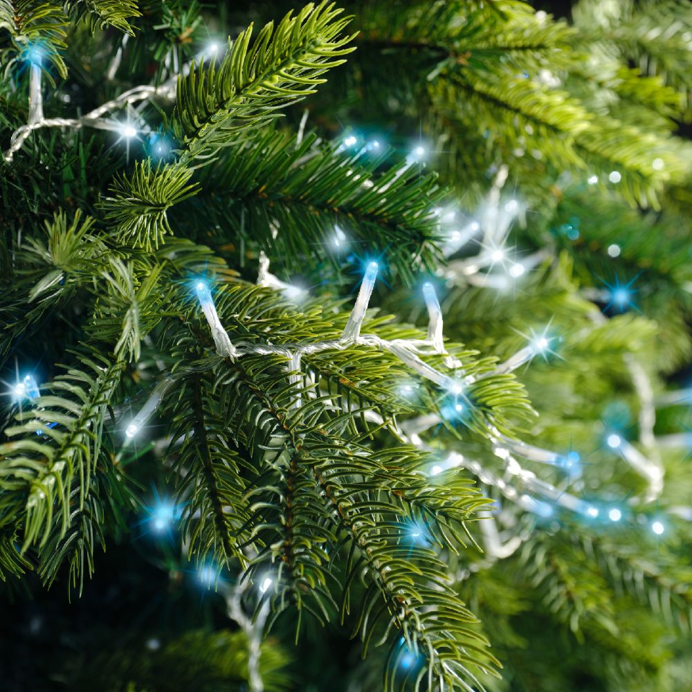 Lumineo 1000 Cool White & Blue LED Compact Christmas Lights (22.5m)
