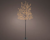 Lumineo 150cm Classic Warm Micro LED Tree - Black Frame - 505325