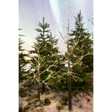 Lumineo 1m Warm White Micro LED Snowy Birch Twig Tree