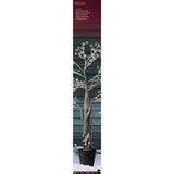 Lumineo 210cm Warm White Micro LED Tree