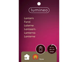 Lumineo 22.5cm LED Lit Lantern (Choice of 3) - 894382