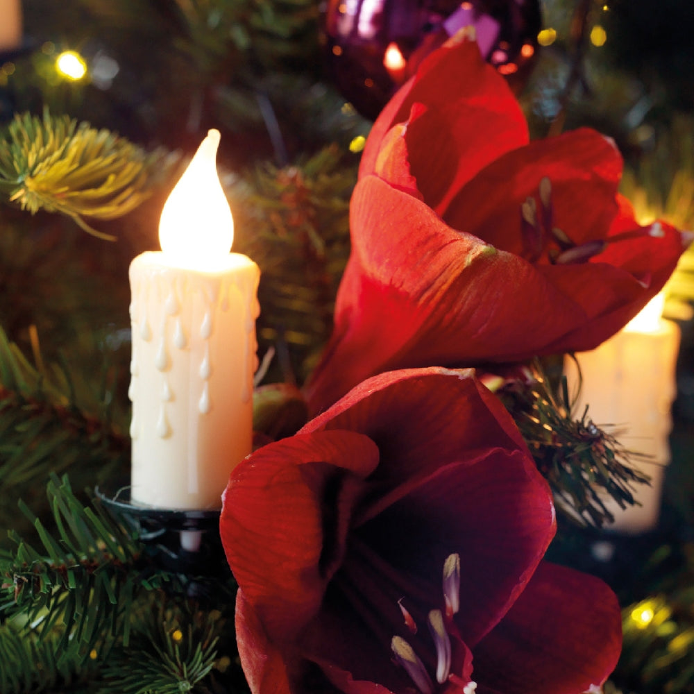 Lumineo 30 Classic Warm LED Candle String Lights (11.6m)