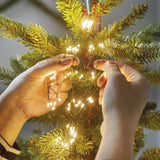 Lumineo 672 LED Classic White Tree Lights Flashing Christmas String Lights