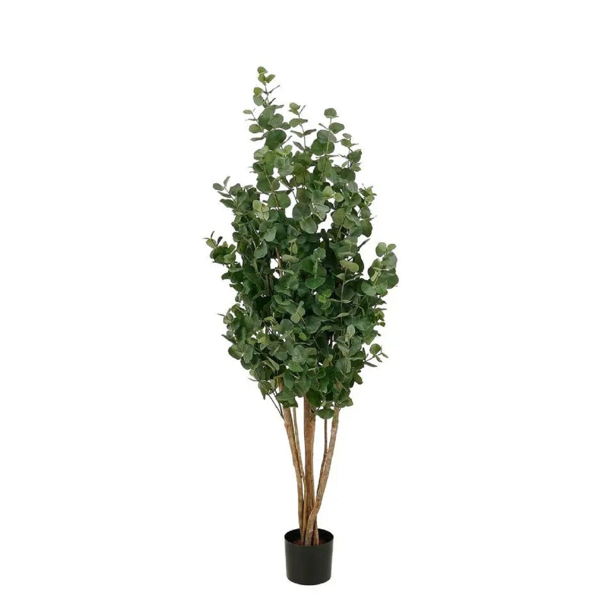 Mica Decorations 205cm Artificial Eucalyptus Tree