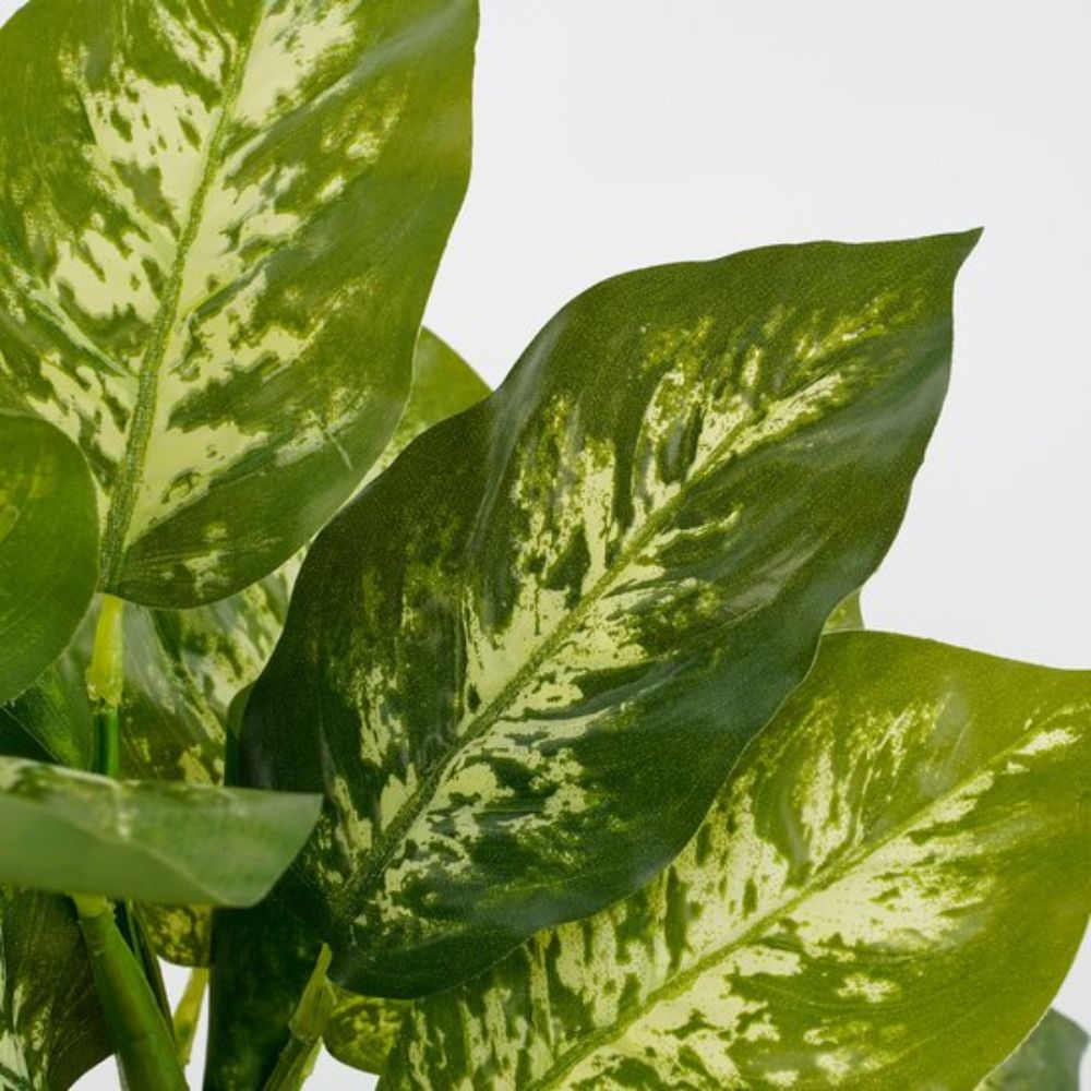 Mica Decorations 40cm Dieffenbachia Plant in Pot