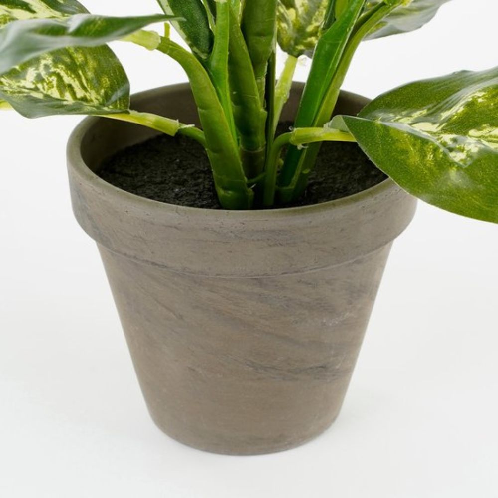 Mica Decorations 40cm Dieffenbachia Plant in Pot