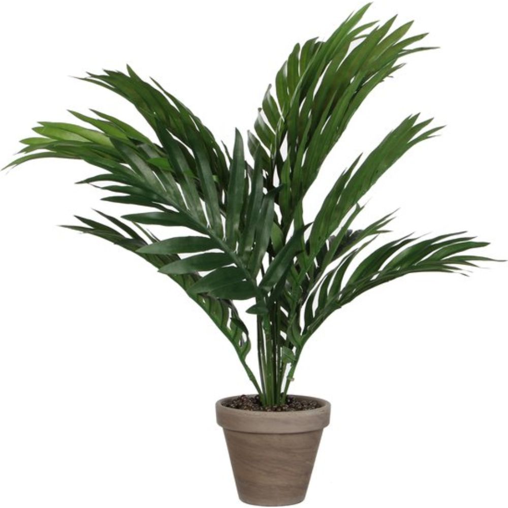 Mica Decorations 45x60cm Palm Tree in Pot