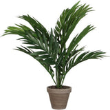 Mica Decorations 45x60cm Palm Tree in Pot