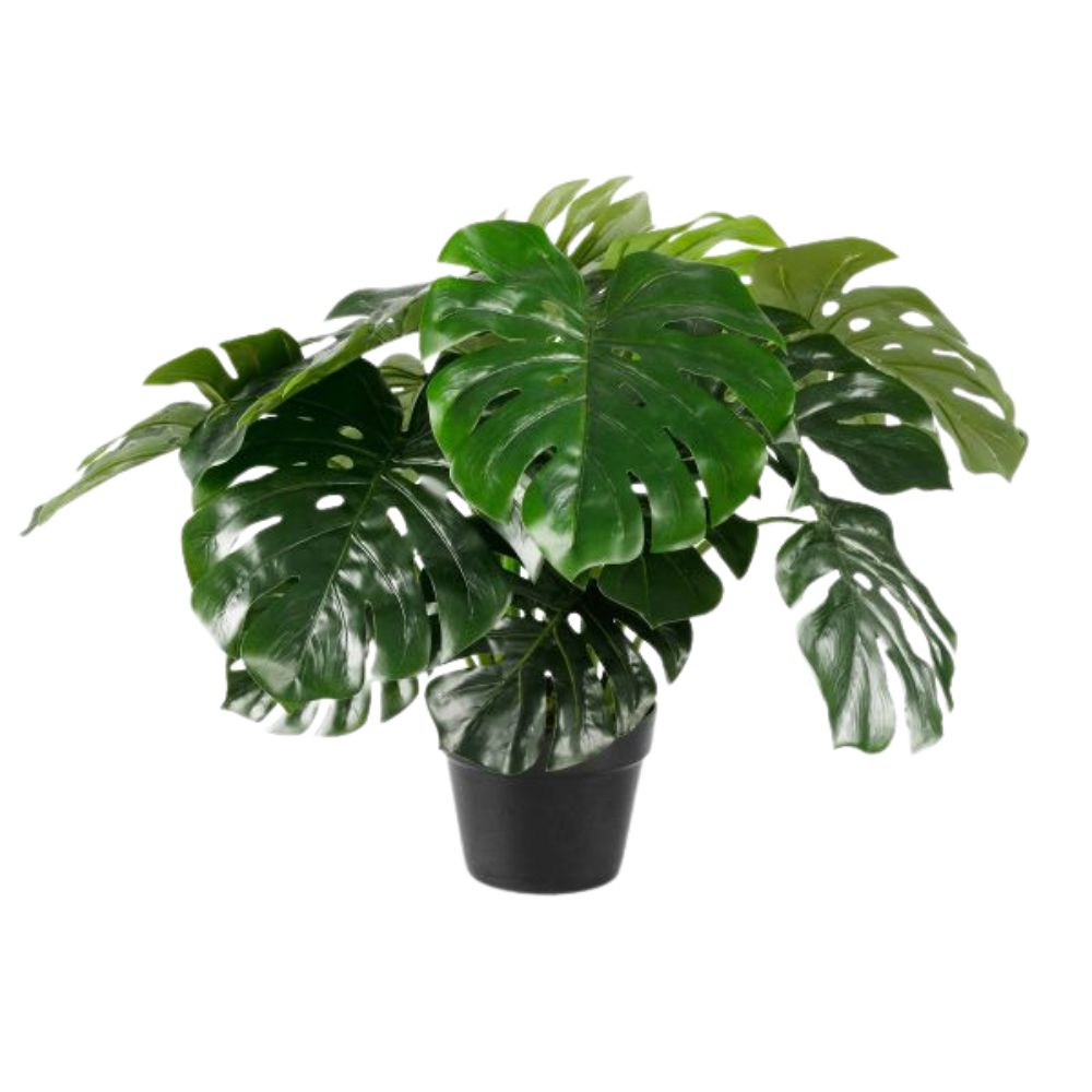 Mica Decorations 60cm Monstera Plant in Pot