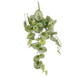 Mica Decorations 65cm Artificial Peperomia Hanging Plant - Green - Old Railway Line Garden Centre