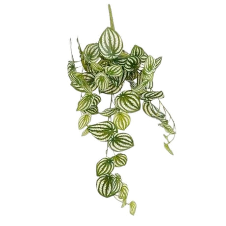 Mica Decorations 65cm Artificial Peperomia Hanging Plant - Green - Old Railway Line Garden Centre