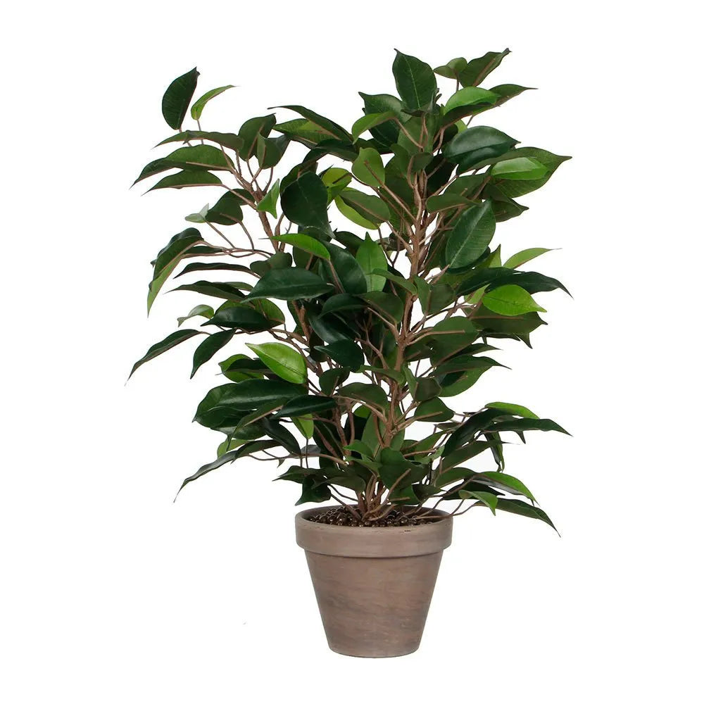 Mica Decorations 180cm Green Artificial Ficus Natasja in Pot